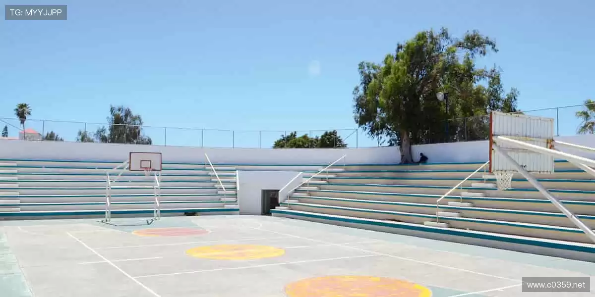 随时随地,赛事直播不打烊!📺💻